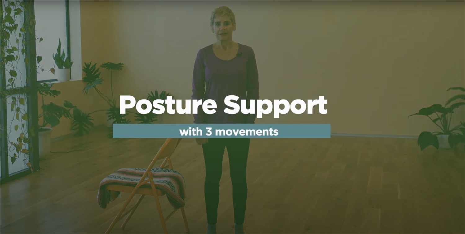 posture support